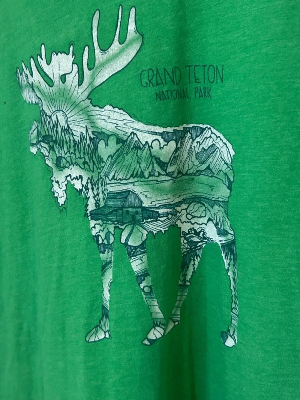 Wild Tribute Men’s -Shirt Grand Teton National Park Green Size 2XL - Picture 3 of 8
